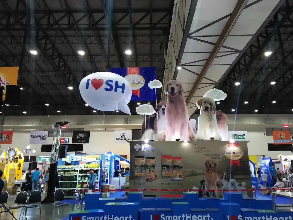 บอลลูนอัดแก๊สลอยฟ้า ผลงานติดตั้งจริงโดย BalloonWork 13
